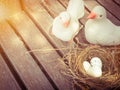 two white pigeon statue bird and bird nest with three white stone on wooden background and copy space