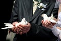 Two white pigeons in hands of a married couple