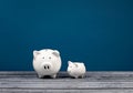 White Piggy Banks on blue background