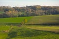 hills of  Flemish ardennes on a sunny autumn day Royalty Free Stock Photo