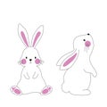 Two white rabbits, one in a front view and the other in profile view on a white background Royalty Free Stock Photo