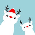 Two white reindeer deer head face icon set. Cute cartoon kawaii baby character. Red hat, nose, horns. Merry Christmas. Happy New