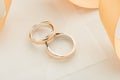 Two white and rose gold wedding rings on pastel background Royalty Free Stock Photo