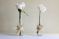 Two white roses Royalty Free Stock Photo