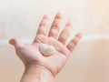 Two white sea shells in heart shape on left hand palm Royalty Free Stock Photo