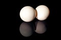 Two white shell eggs isolated on black background Royalty Free Stock Photo