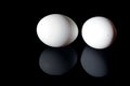 Two white shell eggs isolated on black background Royalty Free Stock Photo