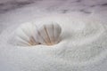 two white scallop shells and white decorative sand Royalty Free Stock Photo