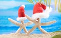 Two white starfish with red Santa Claus` hat on sand beach behind sea and palm trees. Concept of Christmas, New Year Royalty Free Stock Photo