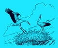Two white storks ciconia ciconia sitting on a nest on a chimney top, on a blue background Royalty Free Stock Photo