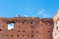 Two white storks on the ruins of the El Badi Palace wall Royalty Free Stock Photo