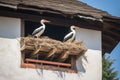 Two white storks are sitting in their nest on the roof of a house, spring photo Royalty Free Stock Photo