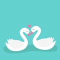 Two white swan birds floating in the water. Bird love couple set. Happy Valentines day. Pink heart. Cute cartoon kawaii funny baby Royalty Free Stock Photo