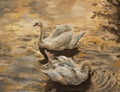 Two white swans on autumn lake. Fall scenery. Oil painting on canvas
