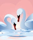 Two white swans with splashes of water on the lake, pink background, vector drawing Royalty Free Stock Photo