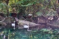 Two swans swim in a small lake with clear water among diabase rocks. Vorontsovsky Park, Crimea. Royalty Free Stock Photo