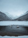 A serene expanse of the ocean with a majestic snow covered mountain in the background