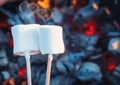 Two white sweet marshmallows roasting over fire flames. Smoke in form of hearts. Marshmallow on skewers roasted on Royalty Free Stock Photo