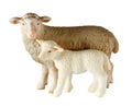 Two white toy lambs standing full-length isolated on white background. The sheep and the lamb Royalty Free Stock Photo