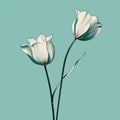Minimalist Digital Illustration Of Two White Tulips On Blue Background Royalty Free Stock Photo