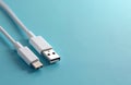 Two white USB cables with USB And USB C connectors lie on bright blue background. These electronic accessories are used for Royalty Free Stock Photo