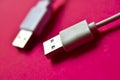 Two white USB connectors on a red background Royalty Free Stock Photo