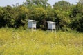 Two white wooden boxes made for outdoor housing of weather instruments surrounded with high uncut grass filled with small yellow Royalty Free Stock Photo