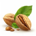 Fresh Almonds in Shell with Green Leaves, Healthy Snack Food Royalty Free Stock Photo