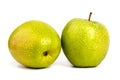 Two whole big green apples in water drops on white background isolated close up macro top view