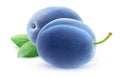 Two whole blue plums isolated on white Royalty Free Stock Photo
