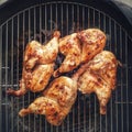 Two whole chickens on coal griller Royalty Free Stock Photo