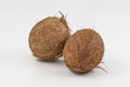 Two whole coconuts with textured brown shell displayed on minimal white background Royalty Free Stock Photo