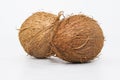 Two whole coconuts with textured brown shell displayed on minimal white background Royalty Free Stock Photo
