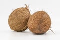 Two whole coconuts with textured brown shell displayed on minimal white background Royalty Free Stock Photo