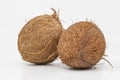 Two whole coconuts with textured brown shell displayed on minimal white background Royalty Free Stock Photo