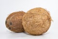 Two whole coconuts with textured brown shell displayed on minimal white background Royalty Free Stock Photo