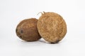 Two whole coconuts with textured brown shell displayed on minimal white background Royalty Free Stock Photo