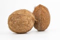 Two whole coconuts with textured brown shell displayed on minimal white background Royalty Free Stock Photo