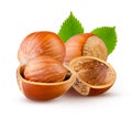 Two whole and cut peeled hazelnuts with leaves isolated on white. Premium quality and full depth of field Royalty Free Stock Photo