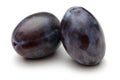 Two whole Damson plums isolated on white Royalty Free Stock Photo