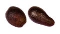 Two whole dark colored brown ripe brown avocados, ripe avocado fruit ready to eat, objects isolated on white background, cut out,