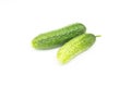 Two whole fresh green ripe cucumbers, salad ingredient, object isolated on white background