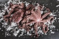 Two whole fresh raw octopus on ice over slate stone background. Seafood octopus, top view, flat lay Royalty Free Stock Photo