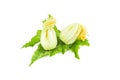 Two whole fresh yellow edible flower and leaf of zucchini or courgettes, object isolated on white background Royalty Free Stock Photo