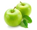 Two whole green apples with a fresh leaf isolated on white Royalty Free Stock Photo