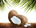 Two whole and half with pieces of coconuts lie on a wooden table under a palm tree. Highly realistic illustration Royalty Free Stock Photo