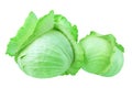 Two whole heads of green leafy cabbage on white background isolated closeup, big and small round ripe white headed cabbage Royalty Free Stock Photo