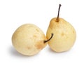 Two whole nashi pears Royalty Free Stock Photo