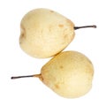 Two whole nashi pears Royalty Free Stock Photo