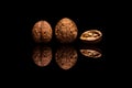 Two whole and one halved walnuts on black background Royalty Free Stock Photo